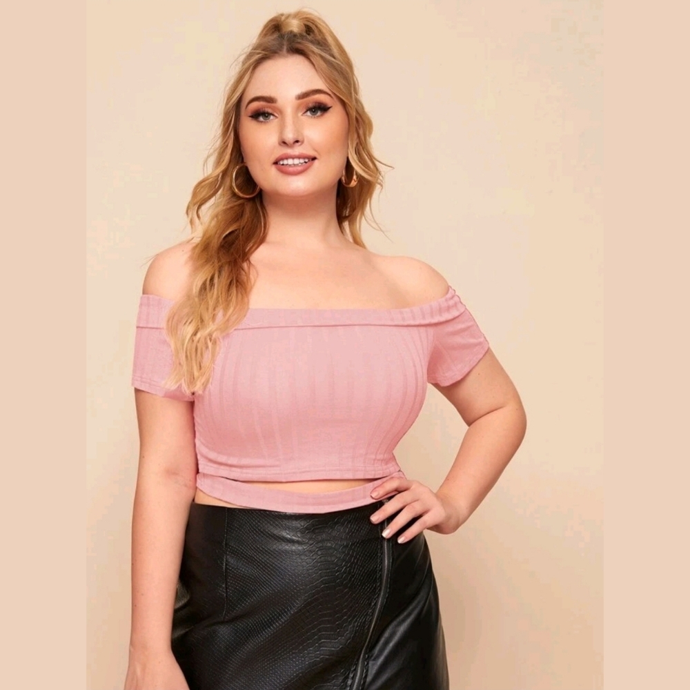 🥰NEW Pink Plus Size Crop Top
